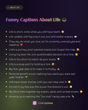 Funny Captions About Life