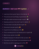 Aesthetic & Self-Love PFP Captions
