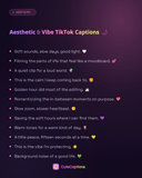 Aesthetic & Vibe TikTok Captions
