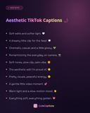 Aesthetic TikTok Captions