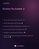 Christmas Dog Captions