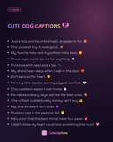 Cute Dog Captions