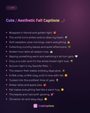 Cute / Aesthetic Fall Captions