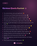 Christmas Family Captions