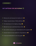 Cat Captions for Instagram