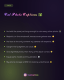 Cat Photo Captions