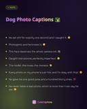 Dog Photo Captions