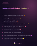 Pumpkin & Apple Picking Captions