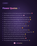Flower Quotes