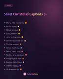 Short Christmas Captions