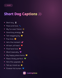 Short Dog Captions