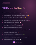 Wildflower Captions